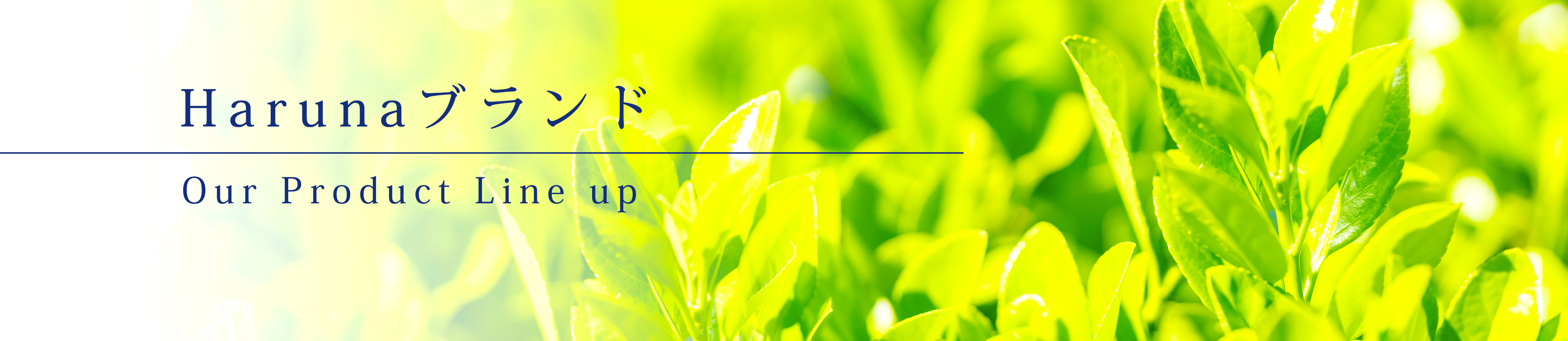 自社ブランド商品