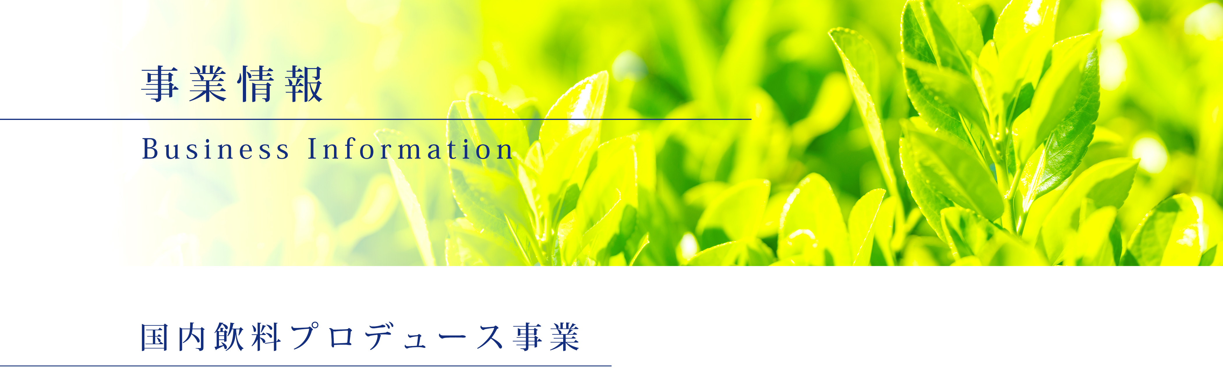 国内飲料プロデュース事業