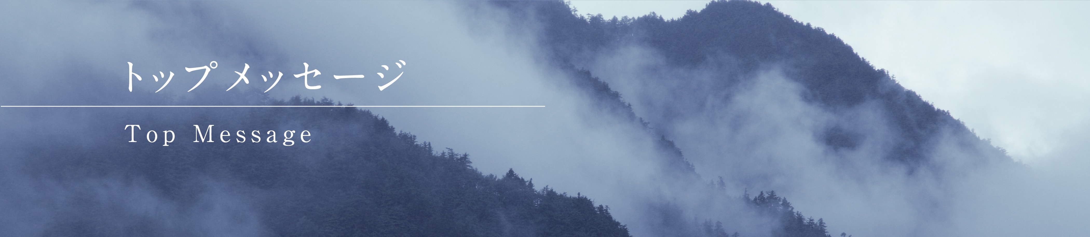 トップメッセージ